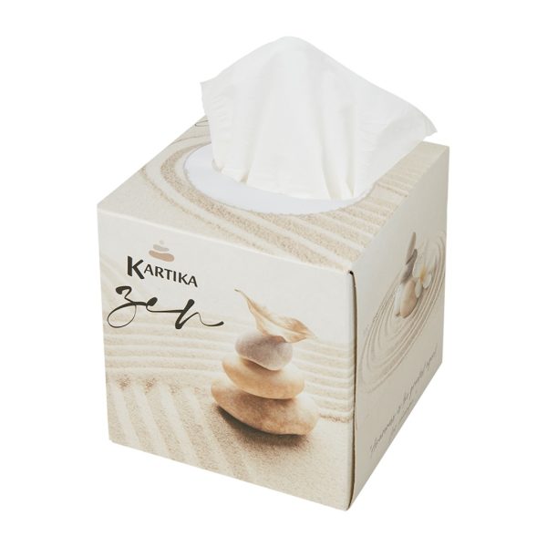 Facial tissues cellulose wit 2 laags cube